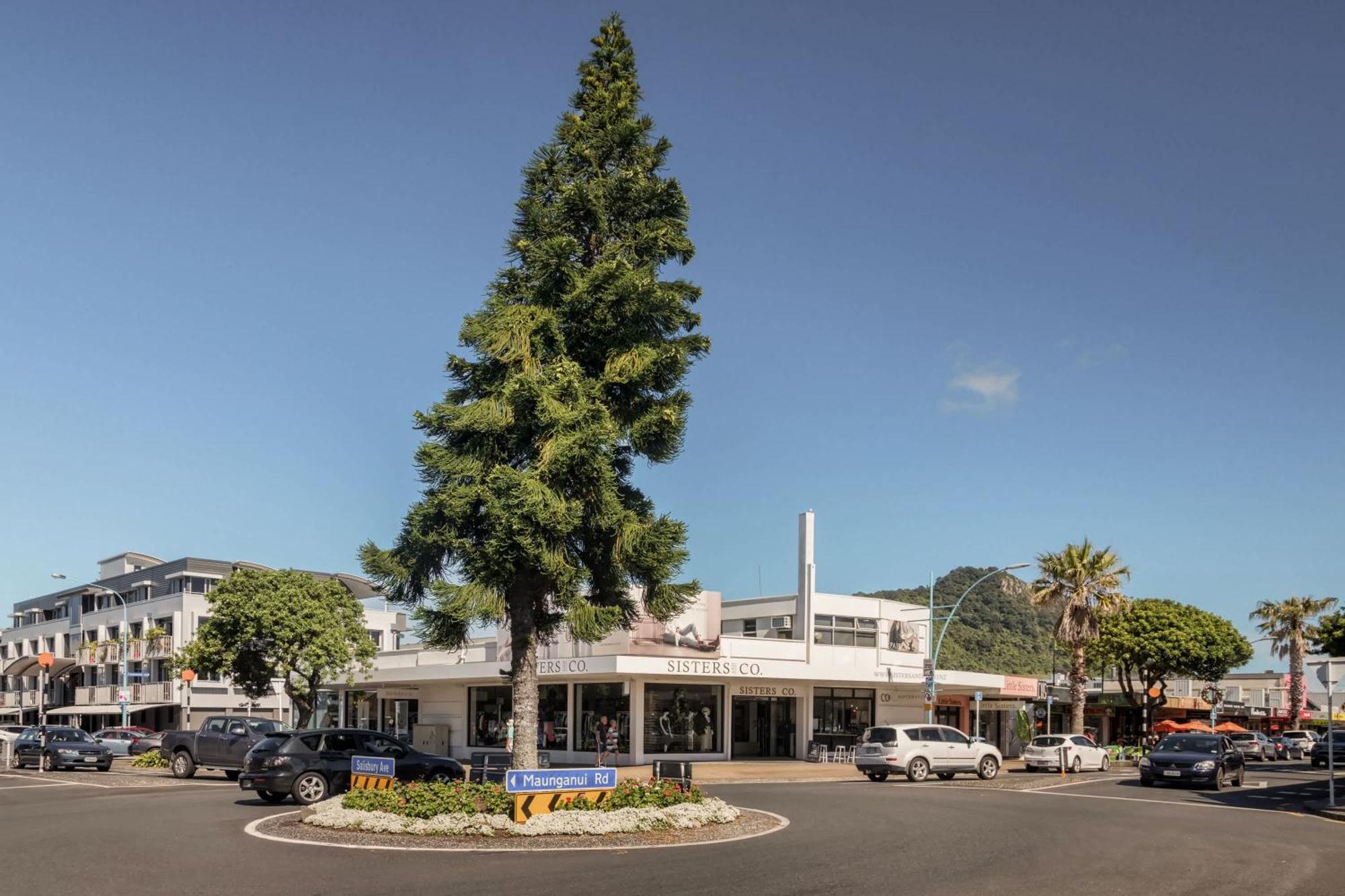 Appartement Oceanside Bliss - Absolute Beachfront - Uninterrupted Ocean Views With Pool à Mount Maunganui Extérieur photo